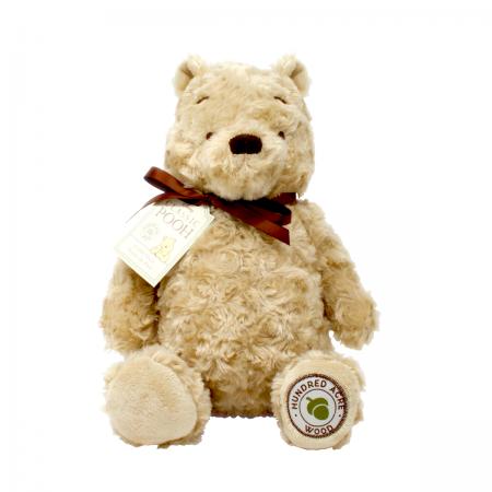 Hundred Acre Wood Cuddly Winnie the Pooh Soft Toy Rainbow