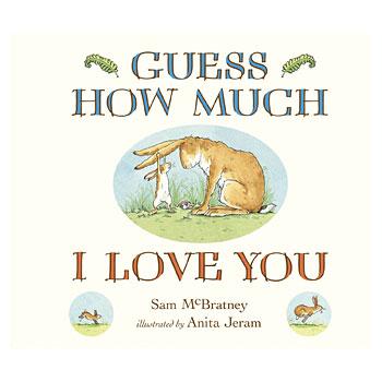 Original Story Board Book