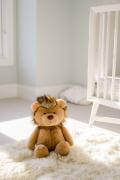 *Little Luxuries Lion Soft Toy