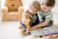 *Little Luxuries Lion Soft Toy