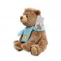 We're Going On a Bear Hunt Soft Toy