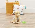 Lifestyle image of Activity Toy