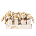 Little Nutbrown Hare Rattle