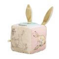 Guess How Much I Love You Activity Cube