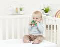 The Very Hungry Caterpillar Teether