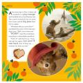 Paddington in Peru: The Movie Storybook