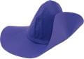 Paddington Blue Hat