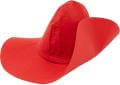 Paddington Red Hat