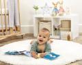 Peter Rabbit Unfold & Discover