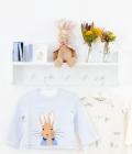 Flopsy Bunny Soft Toy