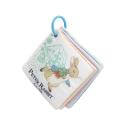 Peter Rabbit Play and Go Squares