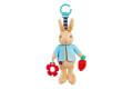 Peter Rabbit Activity Toy