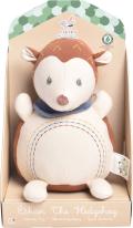 Ethan the hedgehog plush activity toy