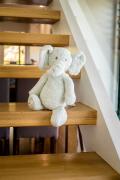 Ernie the Elephant