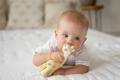 Giraffe  - Natural Rubber Teether Rattle & Bath Toy